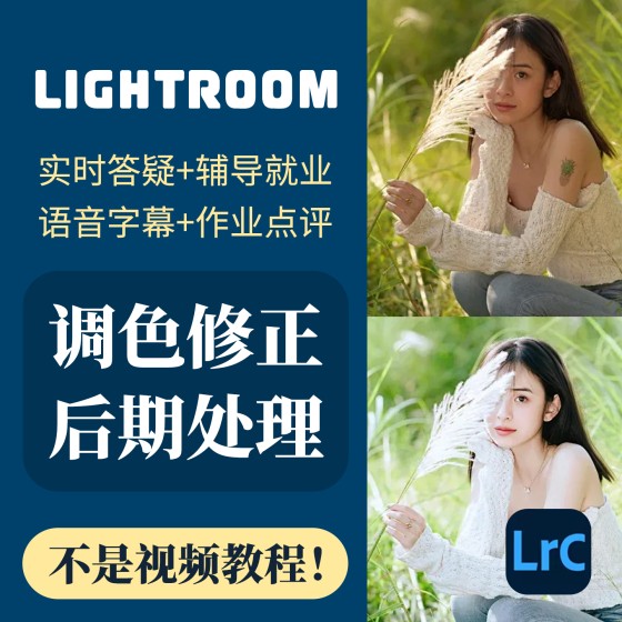 一對一LRC線上指導lightroom平面設計人像風景攝影照片調色修圖